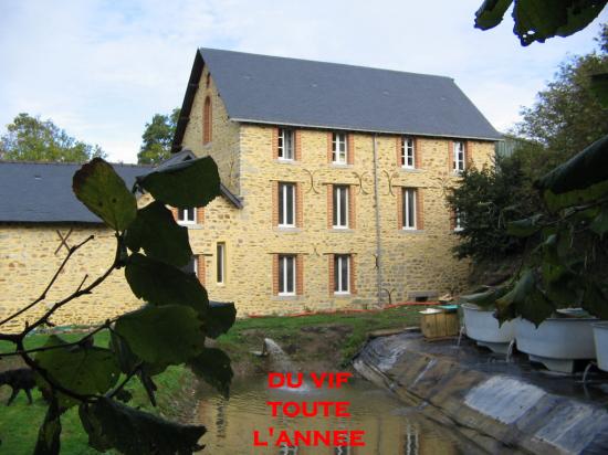 nIMG_0310.JPG